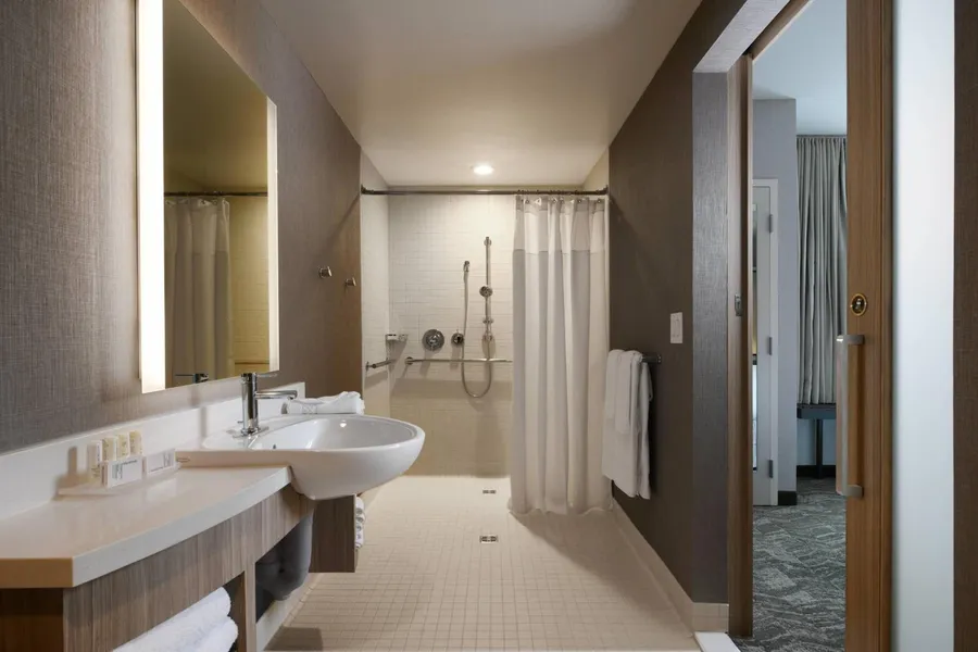 SpringHill Suites by Marriott Dallas DFW Airport South/CentrePort hotel detail image 6