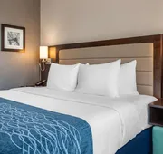 Comfort Inn Prospect Park - Brooklyn hotel detail image 7