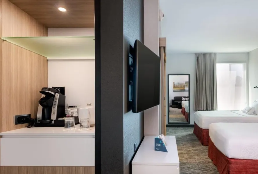 SpringHill Suites by Marriott Suwanee Johns Creek hotel detail image 6
