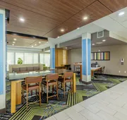 Holiday Inn Express & Suites Lindale – Tyler by IHG hotel detail image 5