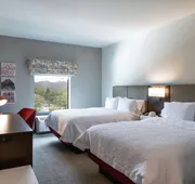 Hampton Inn Black Mountain hotel detail image 7