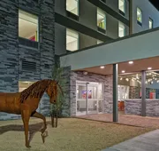 Home2 Suites by Hilton Buckeye Phoenix hotel detail image 7