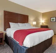 Comfort Inn & Suites Michigan City South hotel detail image 7