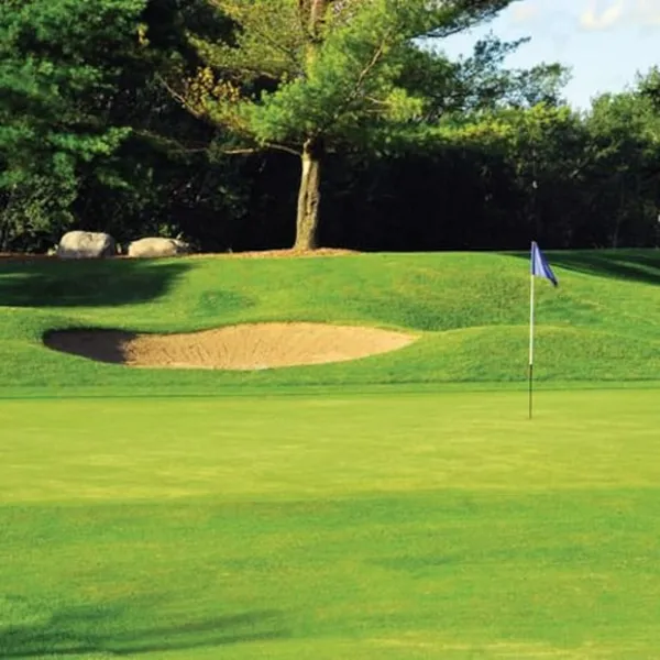 Forest Golf Club and Inn hotel detail image 6