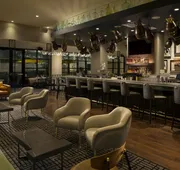 Hotel ZaZa Houston Memorial City hotel detail image 4