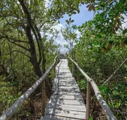 Vida Silvestre Tulum hotel detail image 3