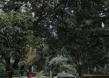 Mango Selva Bio Hotel hotel thumbnail 2