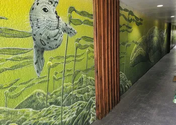 Pacific Rim Motel hotel thumbnail 3