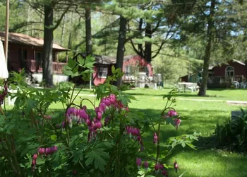 Silver Spruce Resort hotel thumbnail 2
