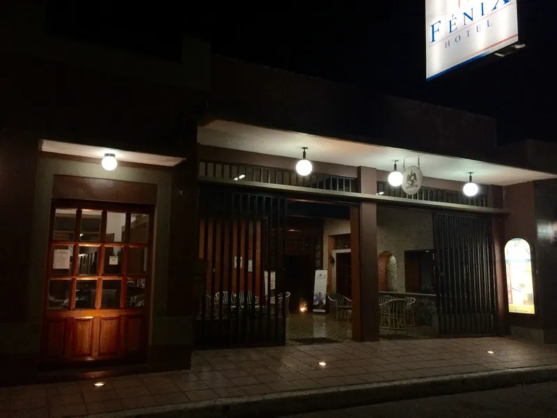 Hotel Fénix hotel detail image 2
