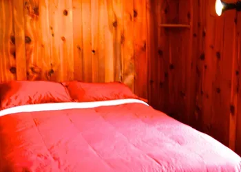 Red Shutter Inn hotel thumbnail 7