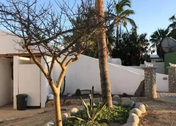 La Ventana Beach Resort hotel thumbnail 8