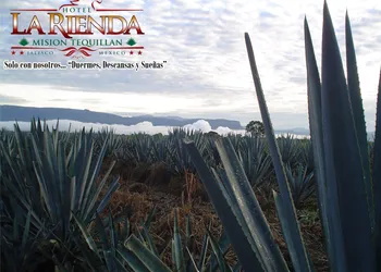 Hotel La Rienda Misión Tequillan hotel thumbnail 2