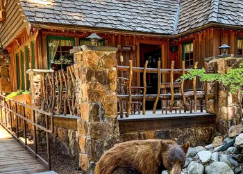 The Cottage Inn hotel thumbnail 4