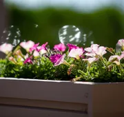 Aqualina Inn Montauk hotel detail image 5