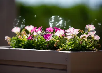 Aqualina Inn Montauk hotel thumbnail 5