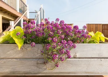 Aqualina Inn Montauk hotel thumbnail 8