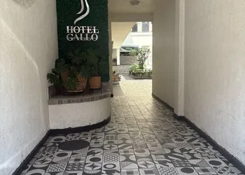 Hotel Gallo Rubio hotel thumbnail 3
