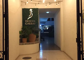 Hotel Gallo Rubio hotel thumbnail 8