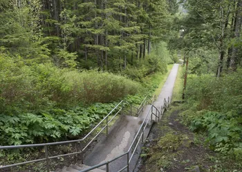 Tall Trees Bed & Breakfast hotel thumbnail 2