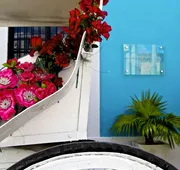 The Diplomat Boutique Hotel hotel detail image 3