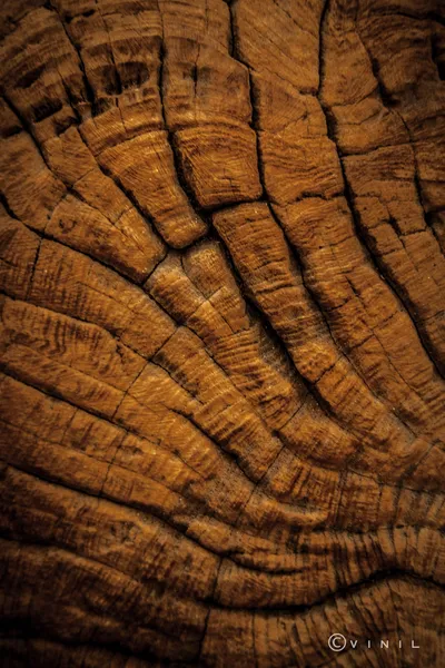 Villa Nao hotel detail image 2