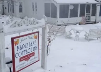 Maple Leaf Cottage Inn hotel thumbnail 6