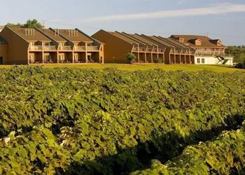 The Inn at Glenora Wine Cellars hotel thumbnail 3