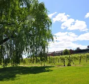 The Inn at Glenora Wine Cellars hotel detail image 4