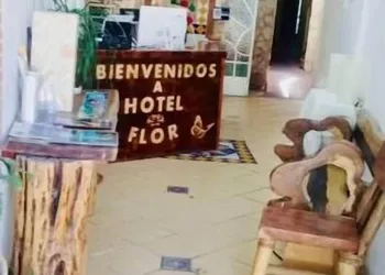 Hotel Flor hotel thumbnail 3