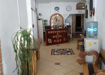Hotel Flor hotel thumbnail 4