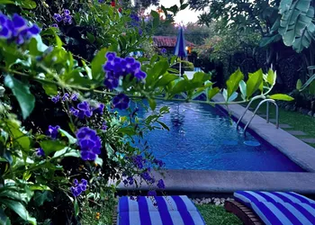 Hotel Quinta Real Las Palmas Malinalco hotel thumbnail 3