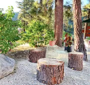 Grand Pine Cabins hotel detail image 3
