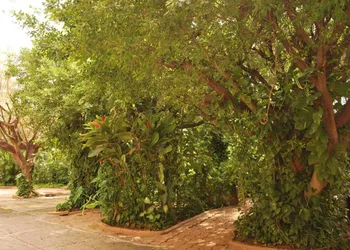 Hotel La Hacienda hotel thumbnail 5