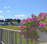 Sundance Cottages hotel detail image 3