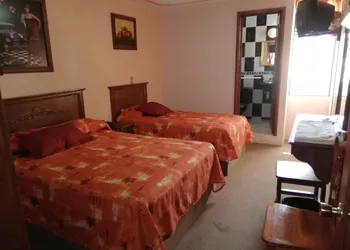 Hotel Villa De Las Flores hotel thumbnail 7