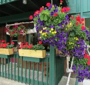 Dwight Village Motel hotel detail image 5