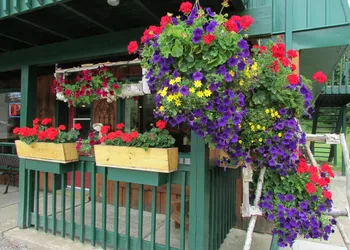 Dwight Village Motel hotel thumbnail 5