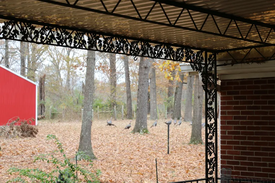 Cedar Grove Inn hotel detail image 2