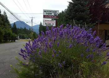 Mountain View Lodge hotel thumbnail 3