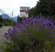 Mountain View Lodge hotel detail image 5