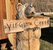Virginia Creek Settlement hotel detail image 5