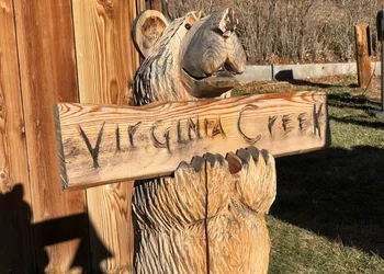 Virginia Creek Settlement hotel thumbnail 5
