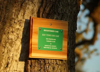 Bay Town Inn hotel thumbnail 7