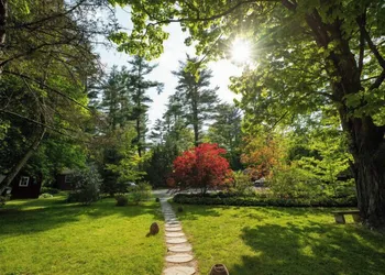 Phoenicia Lodge hotel thumbnail 3