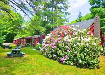 Phoenicia Lodge hotel thumbnail 6