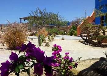 Hotel Boutique Las Terrazas hotel thumbnail 6