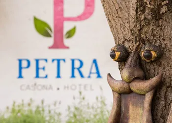 Casona Hotel Petra hotel thumbnail 6