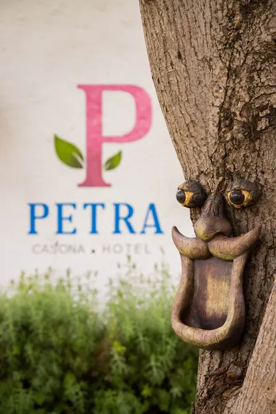 Casona Hotel Petra hotel detail image 6