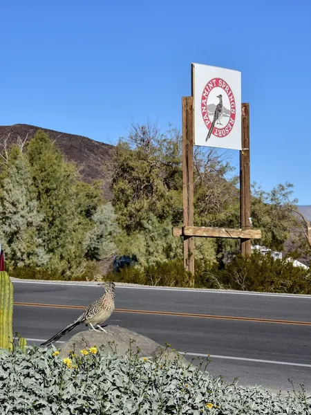 Panamint Springs Resort hotel detail image 6
